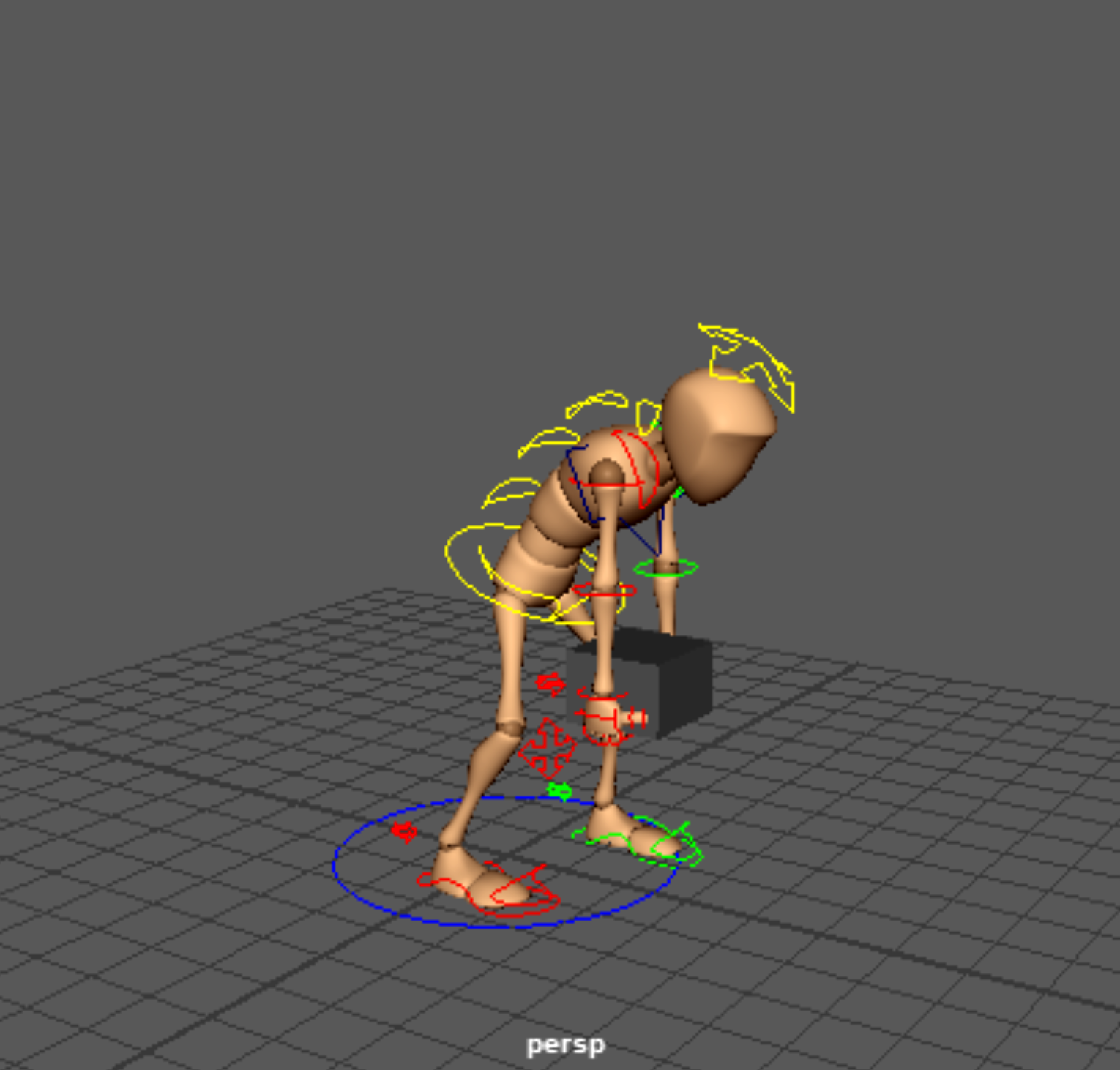 Weight Animation